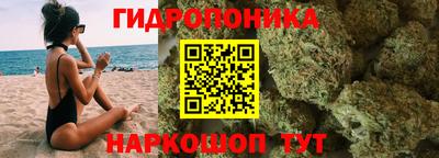 jwh Ставрополь
