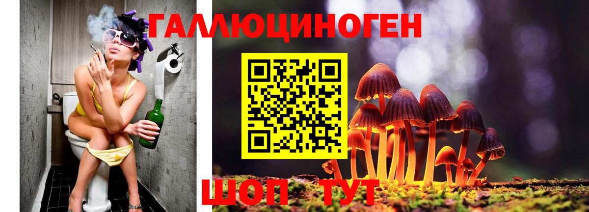 Галлюциногенные грибы Psilocybe  Вход с VPN  Псилоцибиновые грибы GOLDEN TEACHER  Протвино 